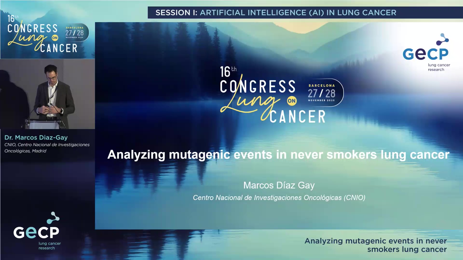Analyzing mutagenic events in never smokers lung cancer
